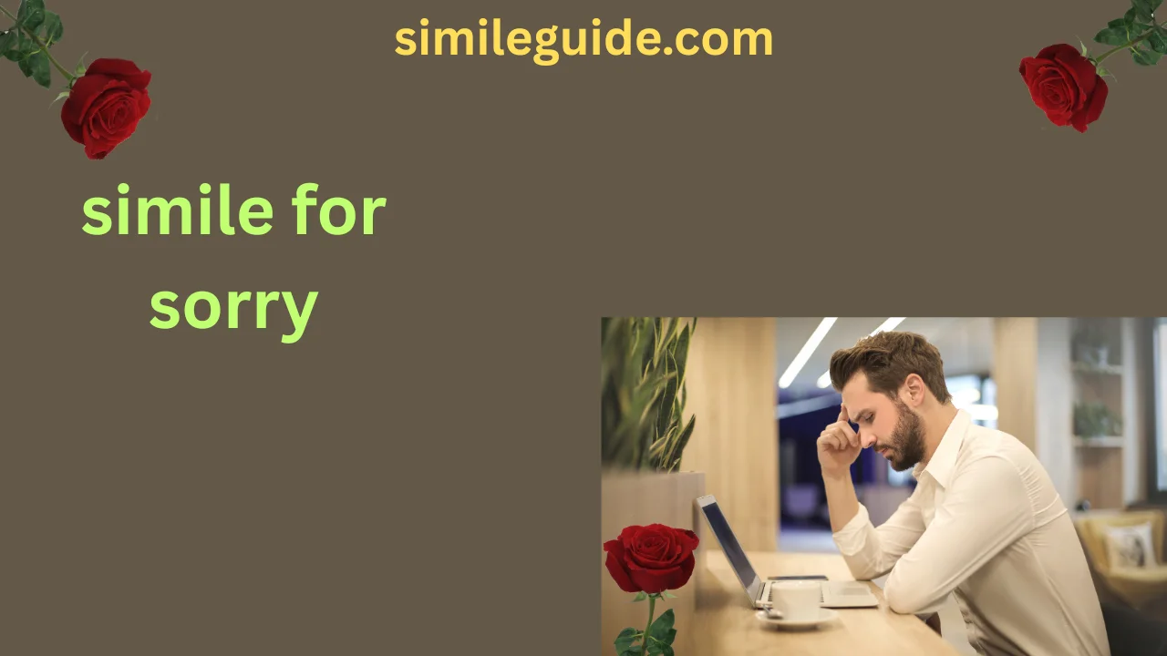 simile for sorry