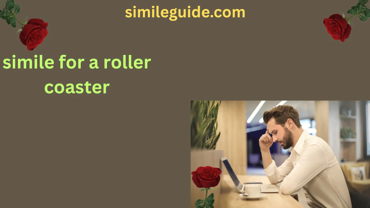simile for a roller coaster