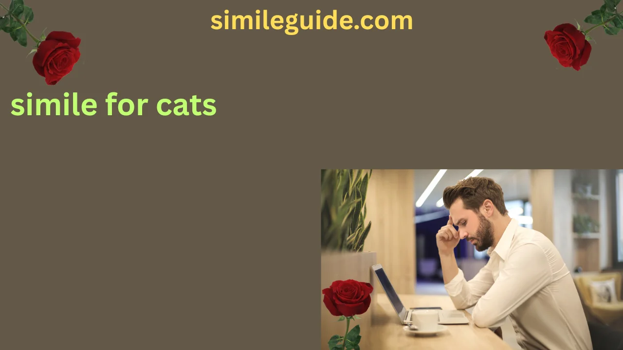 simile for cats
