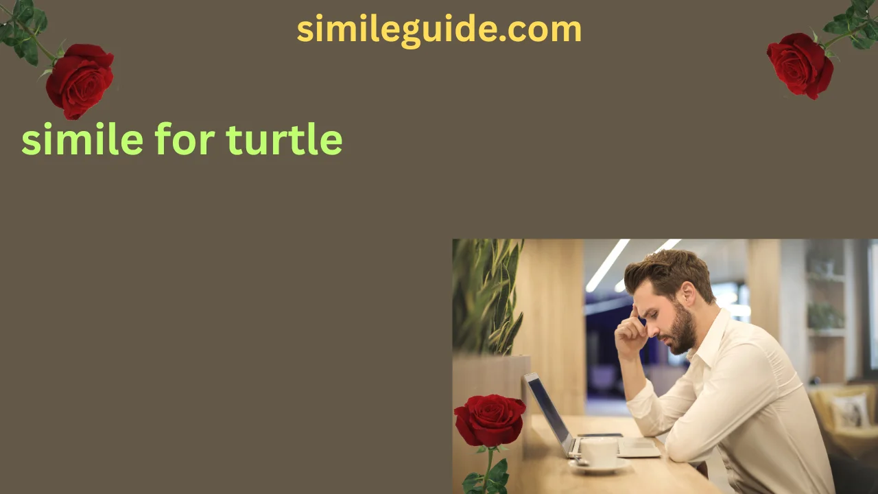 simile for turtle