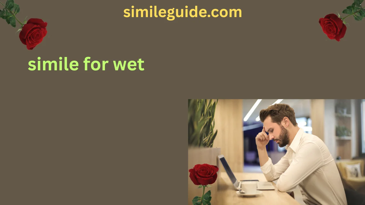 simile for wet
